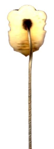 Gewerkschaftsnadel Verband Sächsischer Polizeibeamter V.S.P.B emailliert