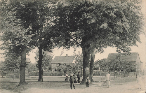 01824 Gohrisch Dorfplatz Sächsische Schweiz gebraucht um 1910