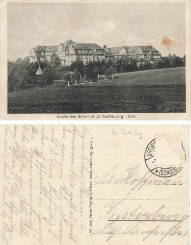 Greiffenberg Schlesien Birkenhof Gryfow Slaski o um 1920
