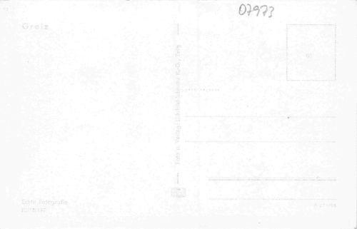Greiz Vogtland Totalansicht * 1955