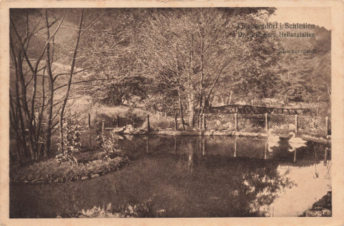 Groebersdorf Silesia Sokołowsko Dr. Brehmer's Sanatorium o 1914