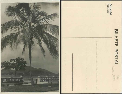 Guaruja Brazil Palmeiras *ca.1940