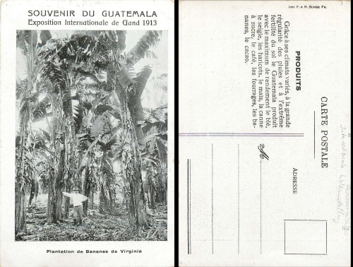 Guatemala International Exposition 1913 banana plantation