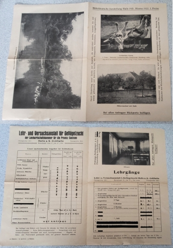 Halle Saale Central German Exhibition 1921 Poultry Show Brochure