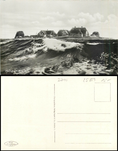 Hallig im Sturm *ca. 1930