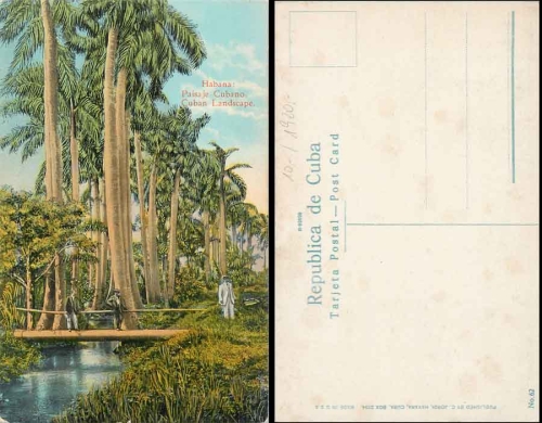 Habana Cuba Paisaje Cubano *ca. 1920
