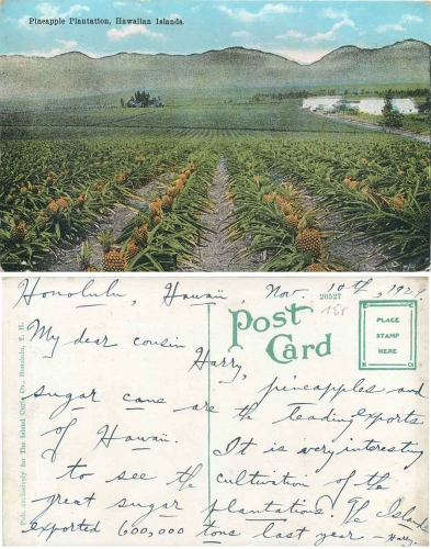 Hawaiian Islands Pineapple Plantation gebr. 10.11.1924