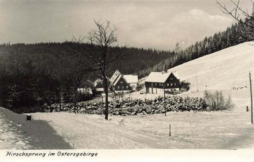 01773 Hirschsprung Erzgebirge * 1960