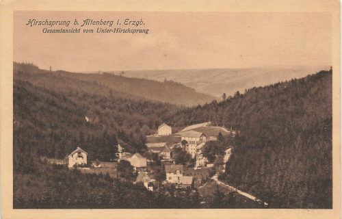 01773 Hirschsprung Erzgebirge * 1916