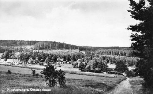 01773 Hirschsprung Erzgebirge o 1963
