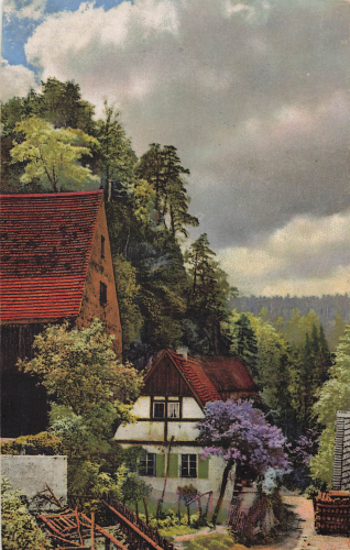 01848 Hohnstein Photochromie Serie 298 Nr. 4555 * um 1920