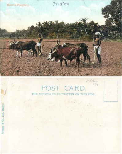 India Native Plowing Farming * ca. 1900