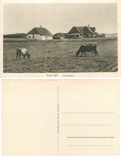 24980 Sylt Friesenhaeuser *ca. 1930