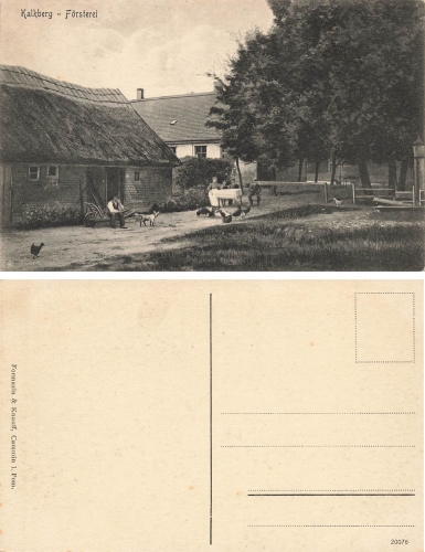 Kalkberg Pomerania Forestry Department Wrzosowo Kamien Pomorski * around 1920