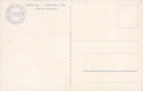 Kamenz Sachsen Hutberg Azaleen Anlage * um 1930