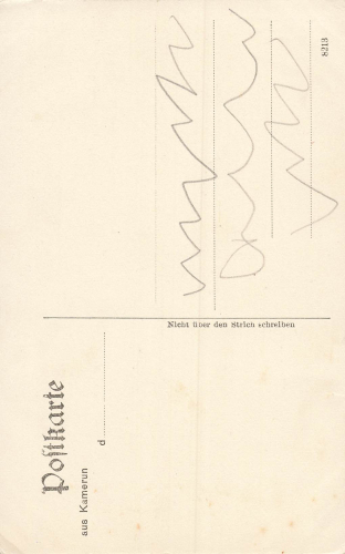 Mokundange fan and oil palms, Cameroon * around 1910