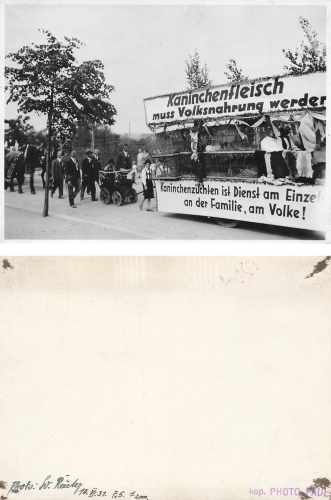 Rabbit meat must become national food, move of rabbit breeders real photo June 14, 1931