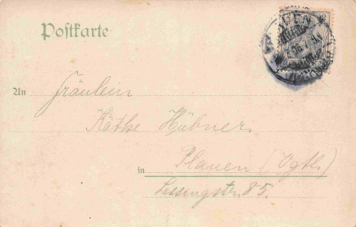 Kauschwitz Plauen Vogtland Hotel Carolahof Litho o 1906