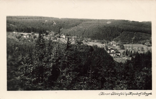 01773 Baerenfels Erzgebirge * um 1960