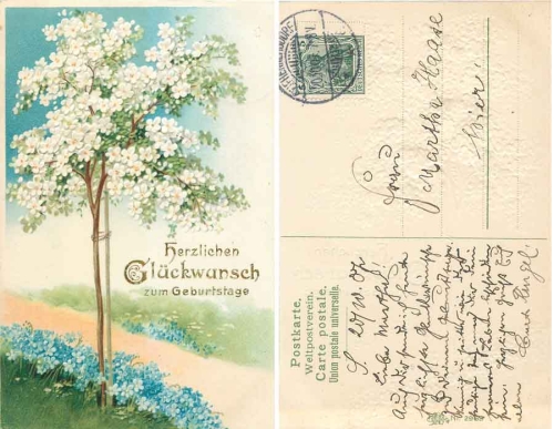 Kirschbaum blühend mit Vergißmeinnicht Prägekarte Erika 2969 o 20.10.1907