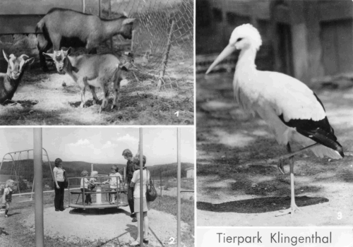 Klingenthal Sachsen Tierpark o 1978