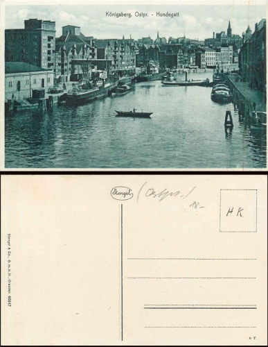 Königsberg Ostpreussen  Hundegatt * ca. 1925