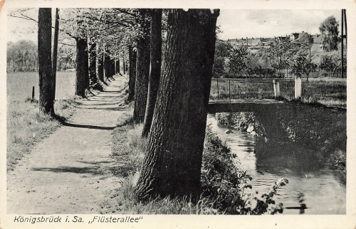01936 Königsbrück Flüsterallee o 1938