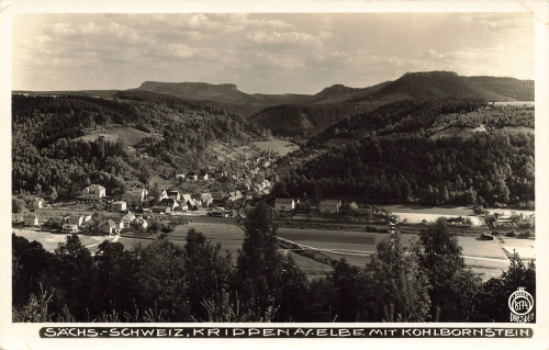 01814 Krippen Sächsische Schweiz mit Kohlbornstein * 1930 Hahn-Foto8174