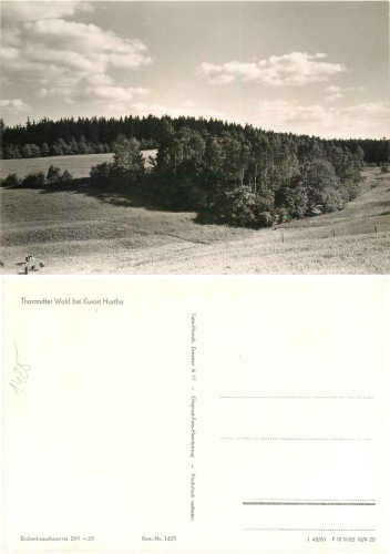 01737 Kurort Hartha Tharander Wald *1966 Hanich1425