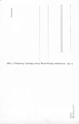 Kynast Riesengebirge Schlesien Chojnik * um 1930