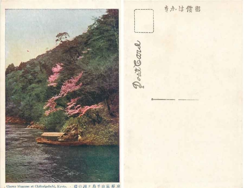Kyoto Cherry Blossoms at Chidorigafuchi Japan * ca. 1920