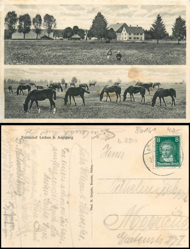 86343 Lechau Koenigsbrunn near Augsburg foal farm or 1928