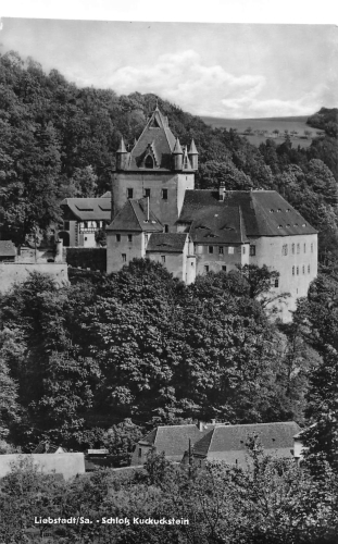 01825 Liebstadt Schloss Kuckuckstein * 1965