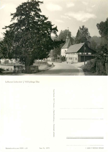 02797 Luckendorf Zittau Mountains 1500 year old oak *1968 Hanich1870