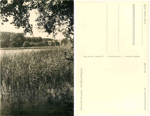 16837 Luhme Giesenschlag See *1956 Hanich0688