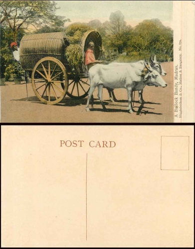 Madras Chennai A Bullock Bandy * ca. 1920