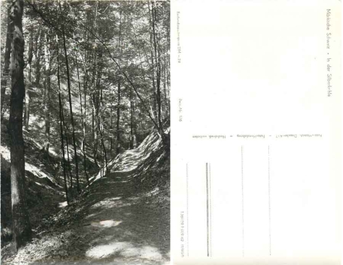 15377 Märkiche Schweiz Silberkehle *1959