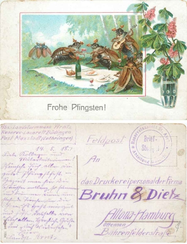 Pentecost May beetle at a picnic with a guitar o May 14, 1918