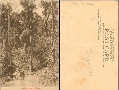 Malayan Jungle Road um 1920