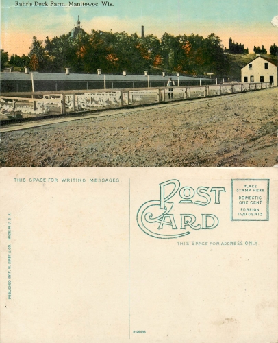 Wisconsin Manitowoc Rahrs Duck Farm *ca.1910 