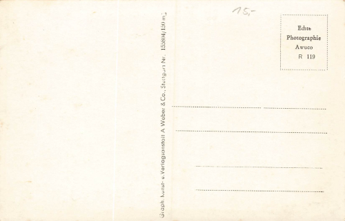 Marienbad Hotel Panorama Böhmen Mariánské Lázně * um 1930