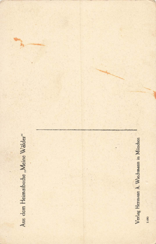 Meine Wälder Am Dorfbrunnen Künstlerkarte Otto Ubbelohde Mandt-Verlag * um 1920