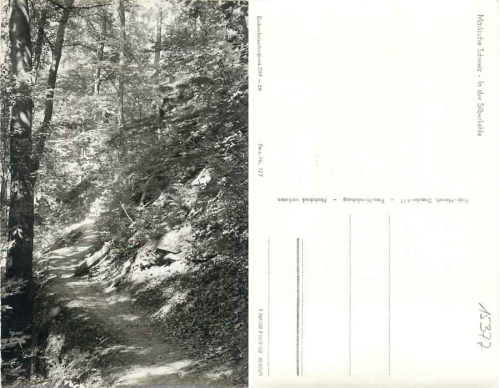 15377 Maerkische Schweiz Silberkehle *1959 Hanich0127