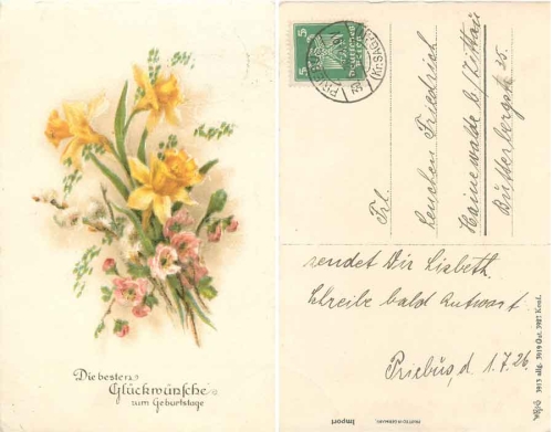 Bouquet of daffodils o 30.6.1926