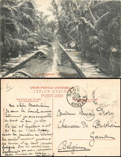Negambo Kanal Ceylon o 13.11.1908