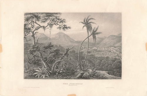 New Freiburg Brazil original steel engraving around 1860