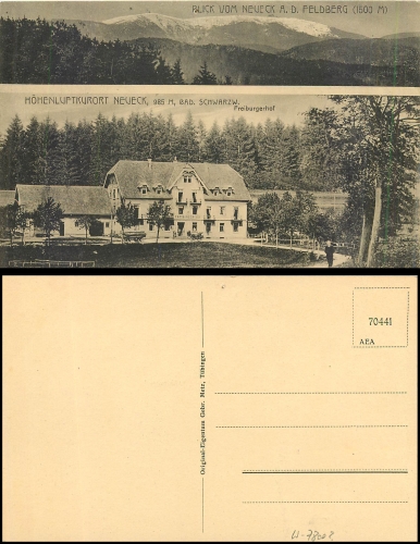 Neueck Black Forest Freiburgerhof * approx. 1915