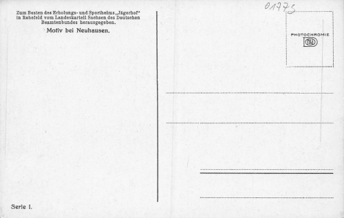 09544 Neuhausen Erzgebirge Photochromie * um 1920