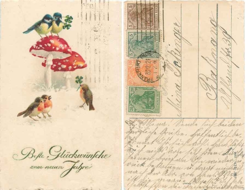 Fly mushrooms, birds New Year o December 30, 1921
