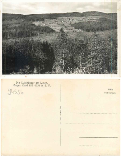94556 Neuschonau Waldhauser am Lusen *ca.1940